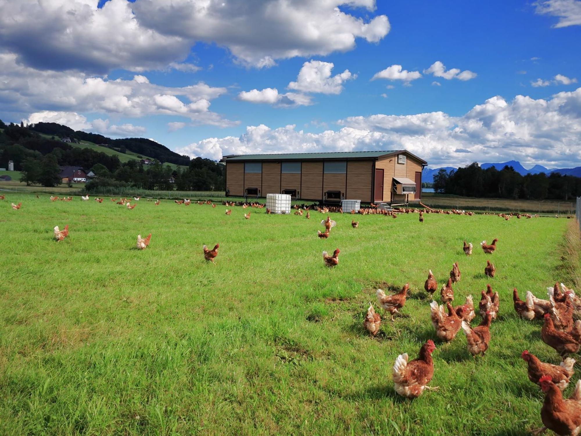 Farm stay Sunnhof