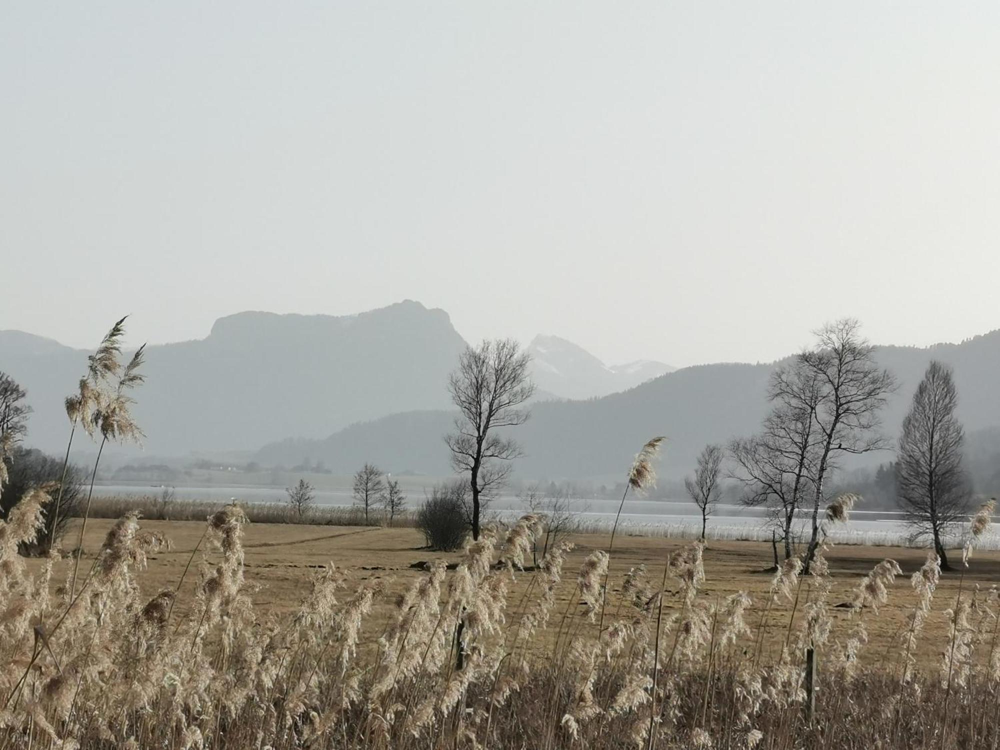 Farm stay Sunnhof *