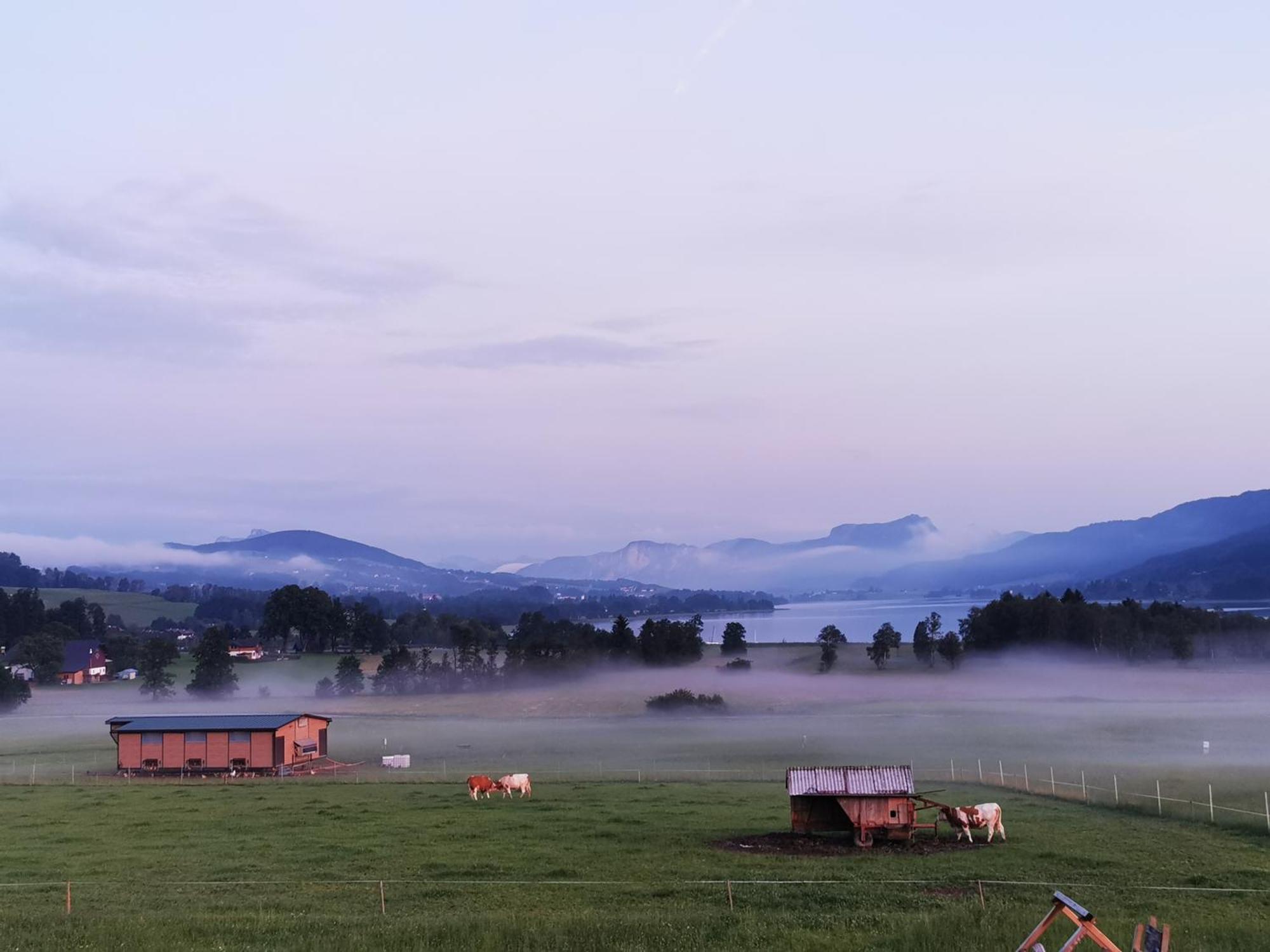 Sunnhof Gospodarstwo agroturystyczne