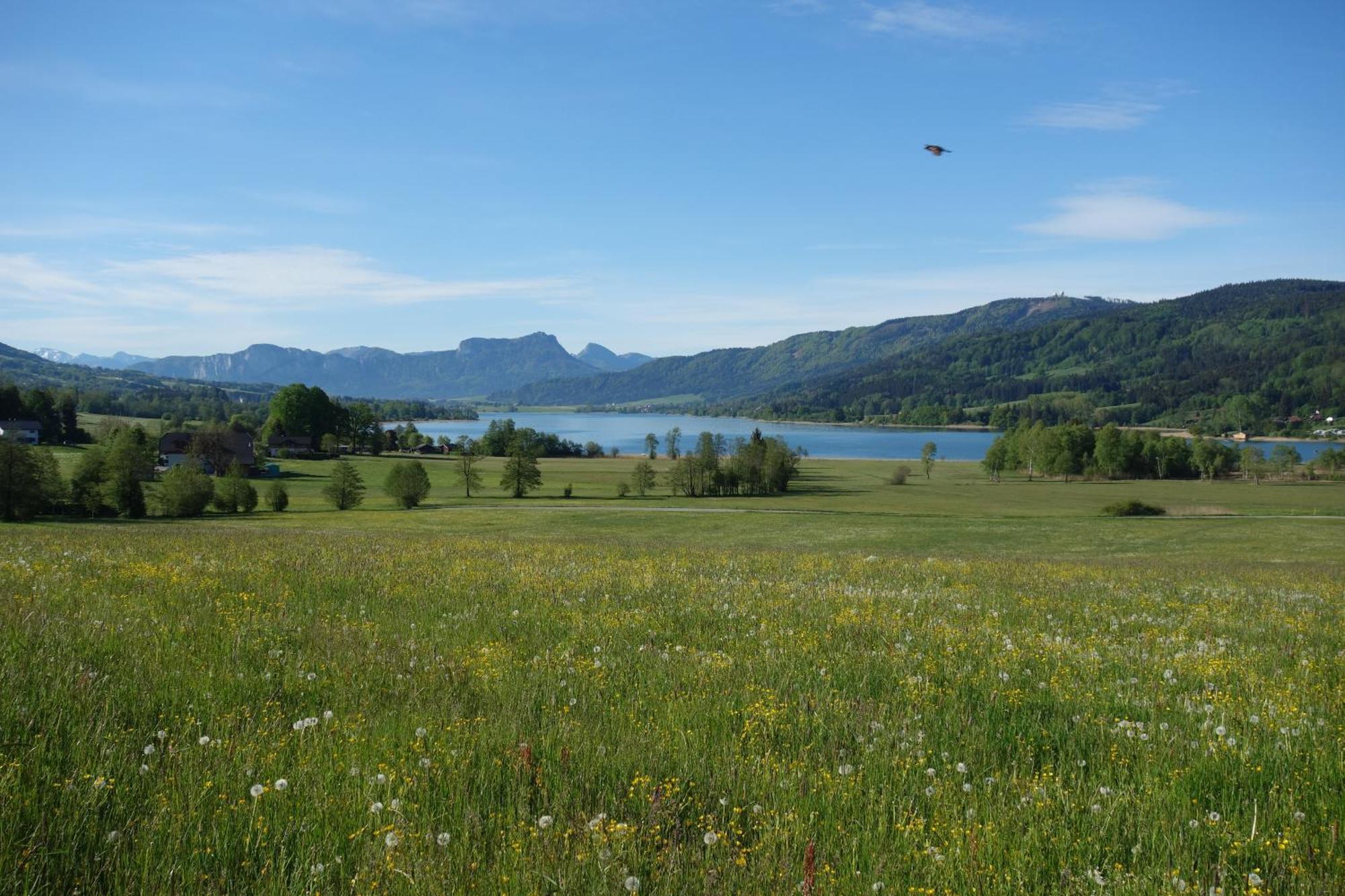 Sunnhof Oberhofen am Irrsee