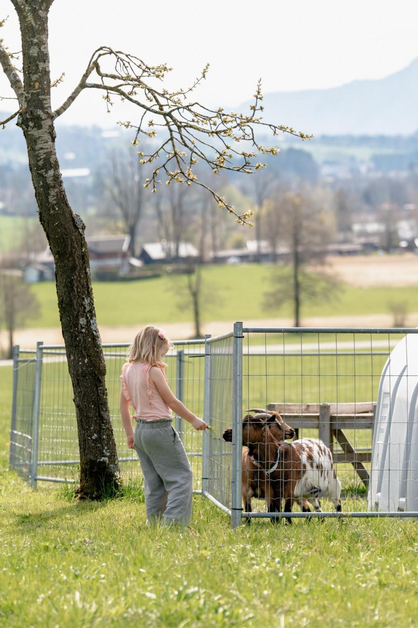 Gospodarstwo agroturystyczne Sunnhof Oberhofen am Irrsee