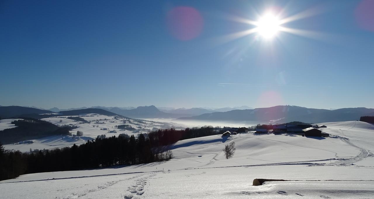 Sunnhof